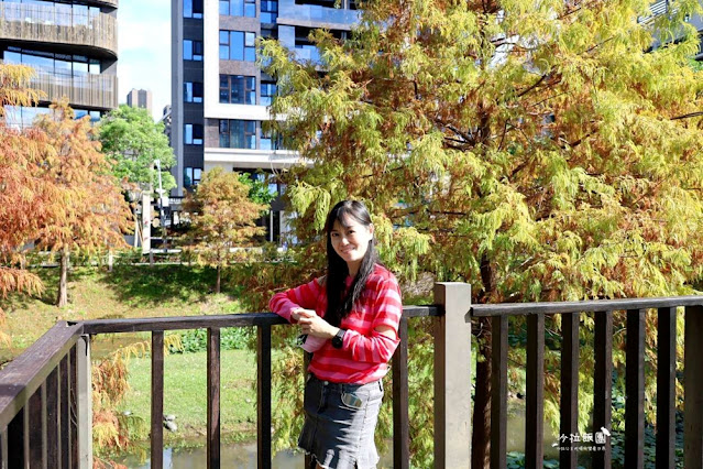 北投奇岩一號公園、落羽松、共融式兒童遊樂場、生態池 22 北投奇岩一號公園、落羽松、共融式兒童遊樂場、生態池