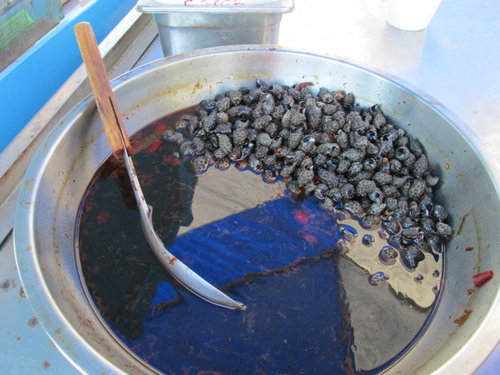 吉貝島美食-貝殼冰、海膽煎 23 吉貝島美食-貝殼冰、海膽煎