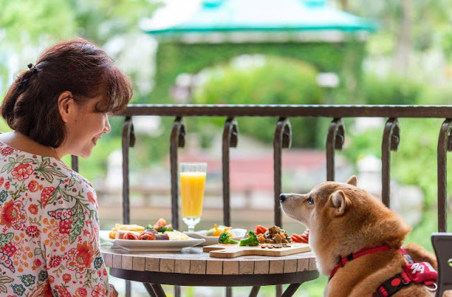 【寵物住宿】寵物友善飯店,毛小孩也要爽爽住 20 【寵物住宿】寵物友善飯店,毛小孩也要爽爽住