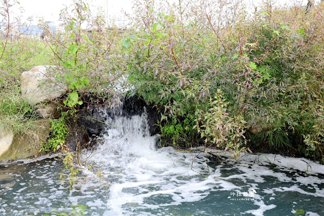 士林最新景點‼️雙溪濕地公園,制高點展望平台 16 士林最新景點‼️雙溪濕地公園,制高點展望平台