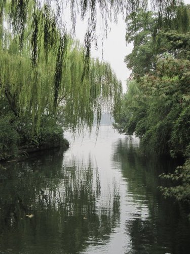 花港觀魚【杭州】 3 花港觀魚【杭州】
