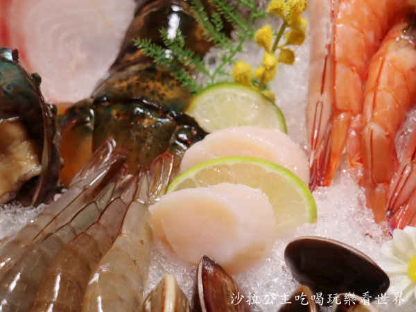 IMG_1550.JPG IMG_1550.JPG