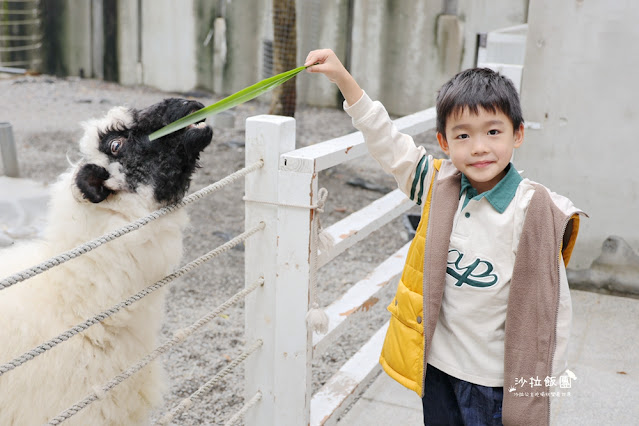 『黑RURU CAFE』最新熊貓羊、笑笑羊互動宜蘭咖啡、宜蘭景點 37 『黑RURU CAFE』最新熊貓羊、笑笑羊互動宜蘭咖啡、宜蘭景點
