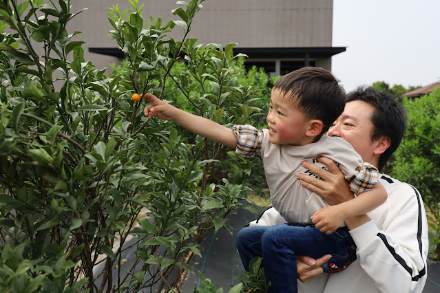 2500坪超狂親子民宿『親水89饗樂民宿』餵浣熊.溜羊.餵魚.餵兔子/大型磨石子溜滑梯/特斯拉充電站/有電梯 55 2500坪超狂親子民宿『親水89饗樂民宿』餵浣熊.溜羊.餵魚.餵兔子/大型磨石子溜滑梯/特斯拉充電站/有電梯