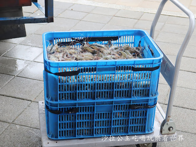 全台首家流水蝦吃到飽提供螃蟹料理吃到飽『泰蝦PA』東石鮮蚵.扇貝.甜點.水果.冰淇淋/捷運機捷站 6 全台首家流水蝦吃到飽提供螃蟹料理吃到飽『泰蝦PA』東石鮮蚵.扇貝.甜點.水果.冰淇淋/捷運機捷站