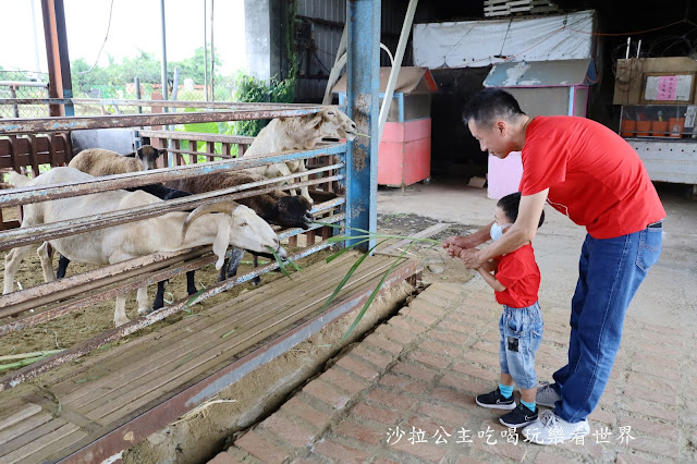 宜蘭員山景點『可達羊場』免門票.百元就可以餵羊.兔子.鴨子.親子景點 32 宜蘭員山景點『可達羊場』免門票.百元就可以餵羊.兔子.鴨子.親子景點