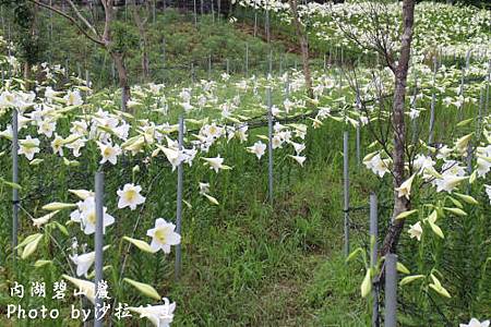 IMG_9500.jpg IMG_9500.jpg