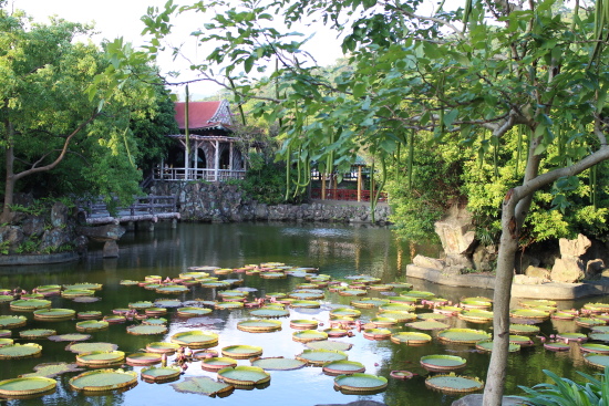 IMG_1242.jpg IMG_1242.jpg