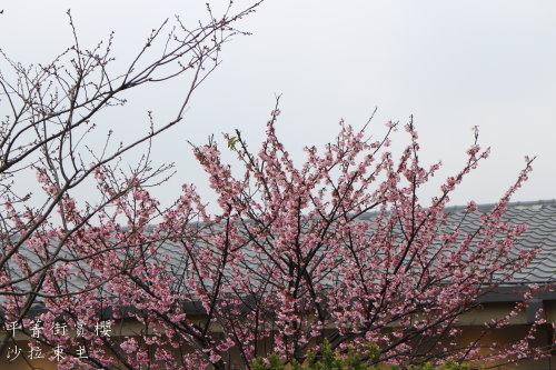 IMG_4042.JPG IMG_4042.JPG