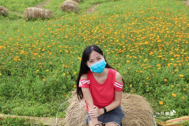 免費入場【2021愛戀關渡花現幸福】5公頃大片花海,北投景點 16 免費入場【2021愛戀關渡花現幸福】5公頃大片花海,北投景點