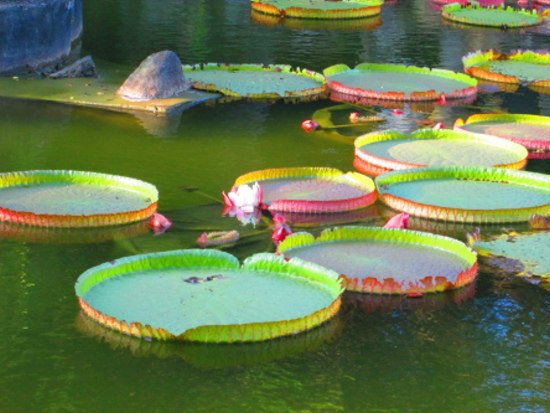 IMG_2732.jpg IMG_2732.jpg