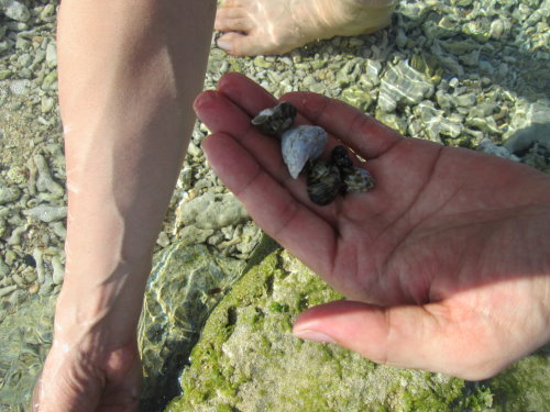 澎湖之旅-吉貝島 18 澎湖之旅-吉貝島