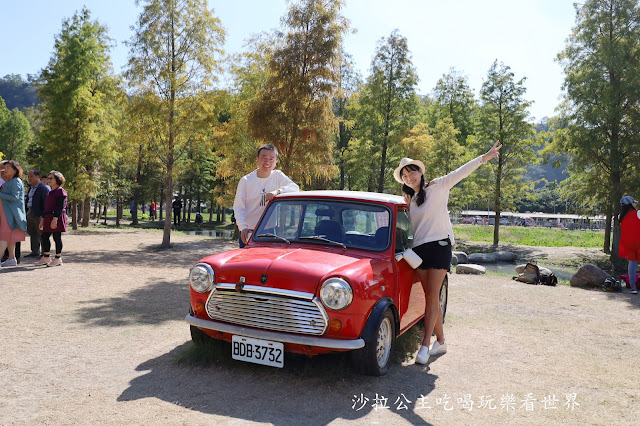 台中落羽松.后里泰安落羽松秘境『羽粼落羽松』裝置藝術像走到畫裡 42 台中落羽松.后里泰安落羽松秘境『羽粼落羽松』裝置藝術像走到畫裡