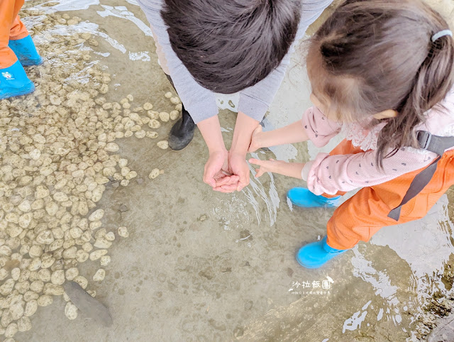 宜蘭親子景點『初咪體驗農場』拔三星蔥、、抓泥鰍、DIY創意蔥麵包體驗、沙坑 28 宜蘭親子景點『初咪體驗農場』拔三星蔥、、抓泥鰍、DIY創意蔥麵包體驗、沙坑