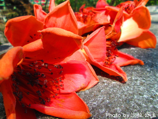 IMG_7090.jpg IMG_7090.jpg