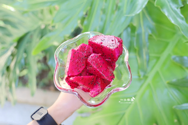 挺小農做公益,i郵購關懷農產-全國評鑑優選的彰化紅龍果 75 挺小農做公益,i郵購關懷農產-全國評鑑優選的彰化紅龍果