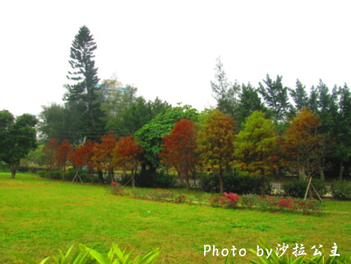 IMG_5664.jpg IMG_5664.jpg