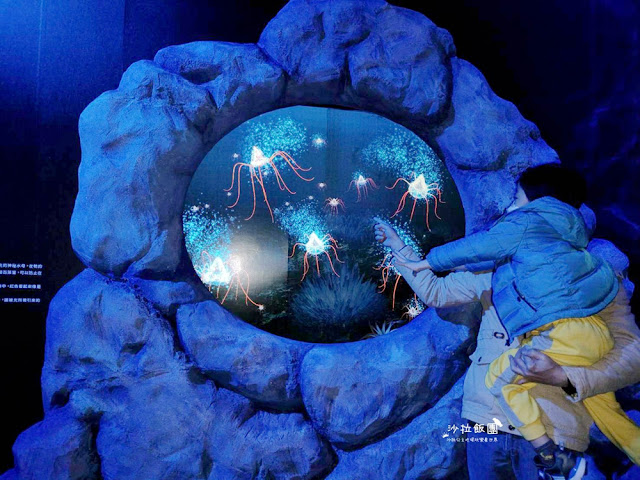 超震撼‼️最強展覽光之影海洋展體驗被海水包圍360°沉浸式光影藝術 21 超震撼‼️最強展覽光之影海洋展體驗被海水包圍360°沉浸式光影藝術