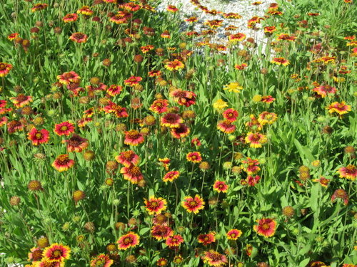 漫遊吉貝 2 漫遊吉貝