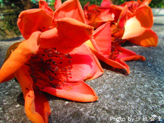 IMG_7087.jpg IMG_7087.jpg