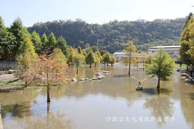 台中落羽松.后里泰安落羽松秘境『羽粼落羽松』裝置藝術像走到畫裡 36 台中落羽松.后里泰安落羽松秘境『羽粼落羽松』裝置藝術像走到畫裡