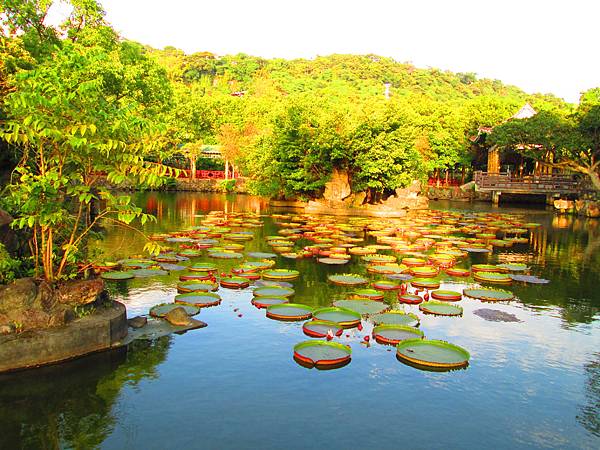 IMG_2737.jpg IMG_2737.jpg