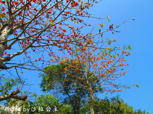 IMG_7085.jpg IMG_7085.jpg