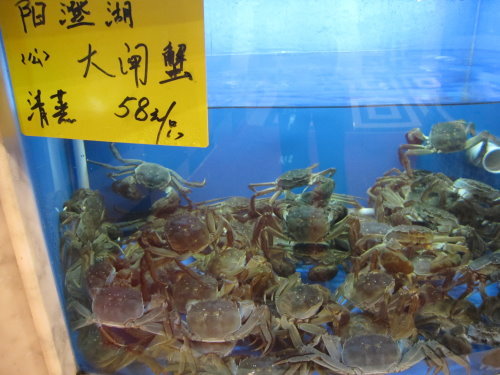 新沈家門風味【上海】 2 新沈家門風味【上海】