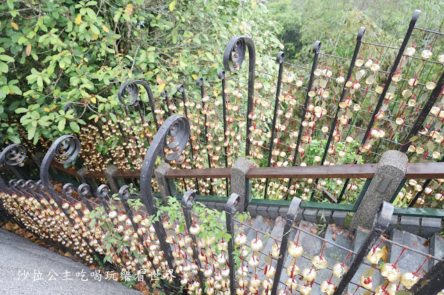 南投日月潭住宿『茶理國王彩色貨櫃』三天兩夜這樣玩/包船/SUP/自行車環湖 26 南投日月潭住宿『茶理國王彩色貨櫃』三天兩夜這樣玩/包船/SUP/自行車環湖