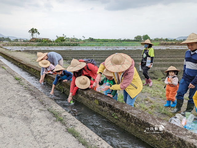 宜蘭親子景點『初咪體驗農場』拔三星蔥、、抓泥鰍、DIY創意蔥麵包體驗、沙坑 11 宜蘭親子景點『初咪體驗農場』拔三星蔥、、抓泥鰍、DIY創意蔥麵包體驗、沙坑