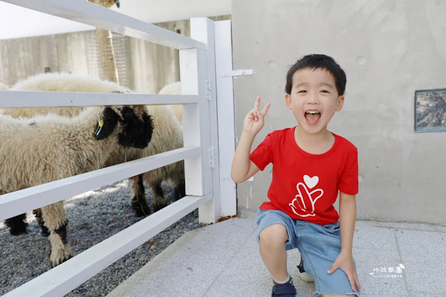 宜蘭最新玻璃屋咖啡廳『黑RURU CAFE』超萌笑笑羊可愛指數爆棚 30 宜蘭最新玻璃屋咖啡廳『黑RURU CAFE』超萌笑笑羊可愛指數爆棚