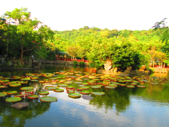 IMG_2733.jpg IMG_2733.jpg