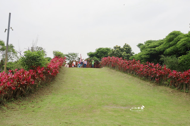 互動綠舞最新萌寵梅花鹿、品嚐無菜單料理、體驗大正文青袴和洋浪漫 75 互動綠舞最新萌寵梅花鹿、品嚐無菜單料理、體驗大正文青袴和洋浪漫