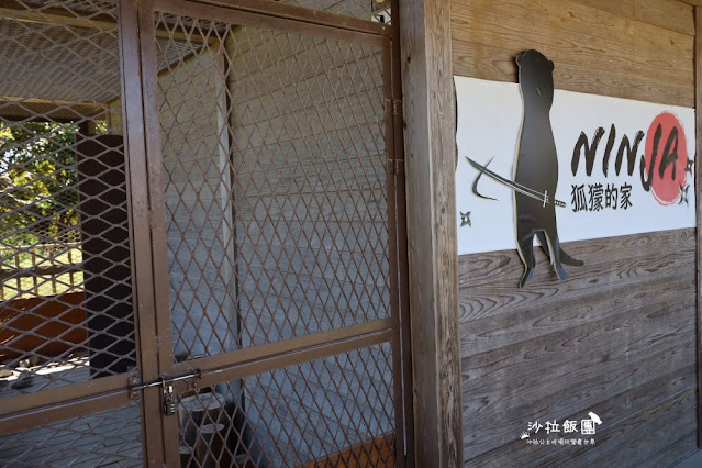 宜蘭住宿親子景點『綠舞國際觀光飯店』一泊二食住房 119 宜蘭住宿親子景點『綠舞國際觀光飯店』一泊二食住房