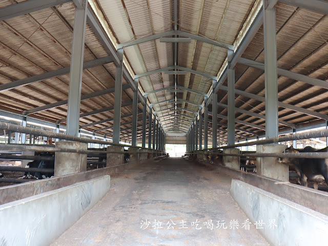 金門必吃美食/唯一在地養殖『良金牧場(貞節牌坊店)』牛肉麵/霜淇淋無限供應/金門必買伴手禮牛肉乾