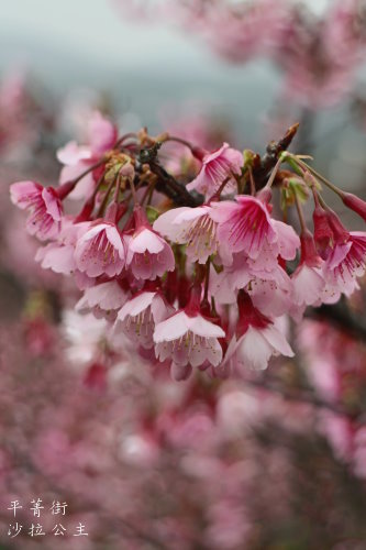 IMG_4010.JPG IMG_4010.JPG