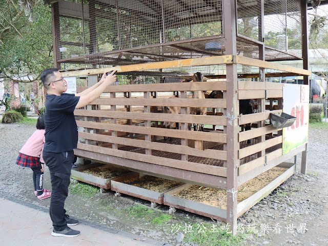 宜蘭親子免費景點『長埤湖風景區』宜蘭旅遊/一日遊景點/露營區/可愛動物 16 宜蘭親子免費景點『長埤湖風景區』宜蘭旅遊/一日遊景點/露營區/可愛動物