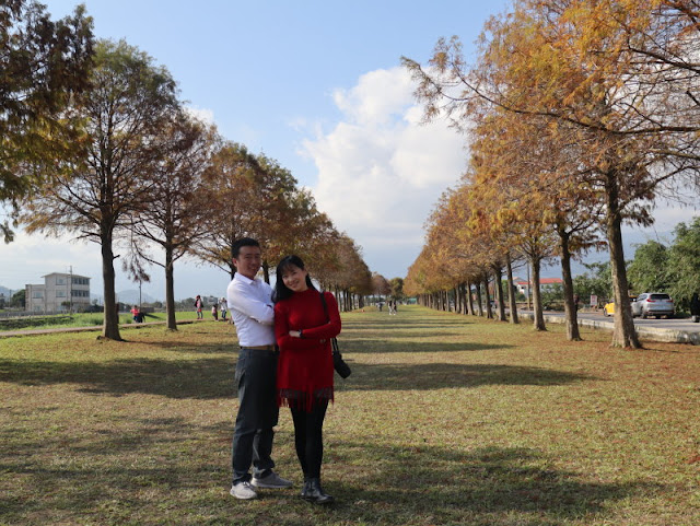 宜蘭三星景點『三星落羽松秘境』安農溪旁/宜蘭落羽松 11 宜蘭三星景點『三星落羽松秘境』安農溪旁/宜蘭落羽松