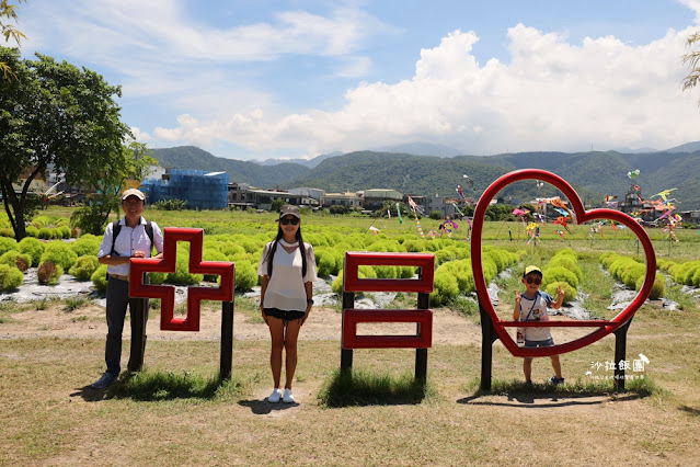 3000株日本波波草超療癒,台版羊角村、大碗公溜滑梯 20 3000株日本波波草超療癒,台版羊角村、大碗公溜滑梯