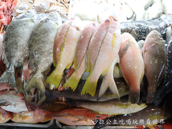 IMG_7233.JPG IMG_7233.JPG