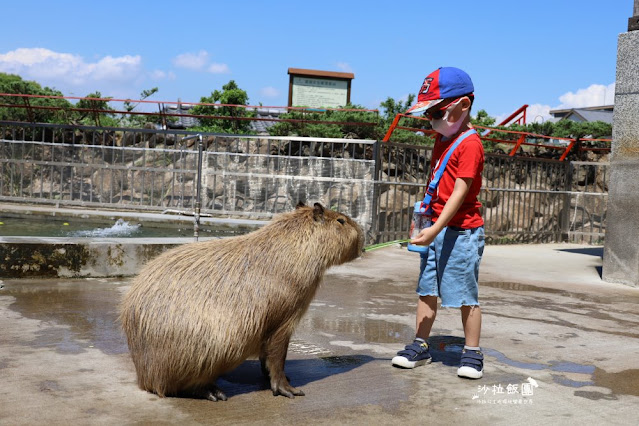宜蘭住宿親子景點『綠舞國際觀光飯店』一泊二食住房 114 宜蘭住宿親子景點『綠舞國際觀光飯店』一泊二食住房