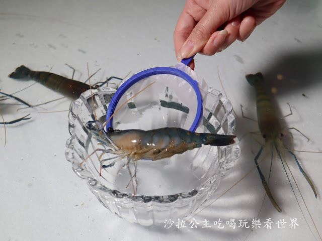 中山火鍋/一秒到南洋『泰滾泰式火鍋(南京店)』撈蝦擂台/捷運松江南京站 45 中山火鍋/一秒到南洋『泰滾泰式火鍋(南京店)』撈蝦擂台/捷運松江南京站