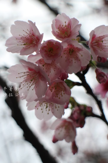 IMG_4048.JPG IMG_4048.JPG