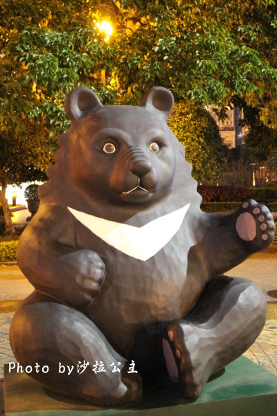 IMG_6531.jpg IMG_6531.jpg