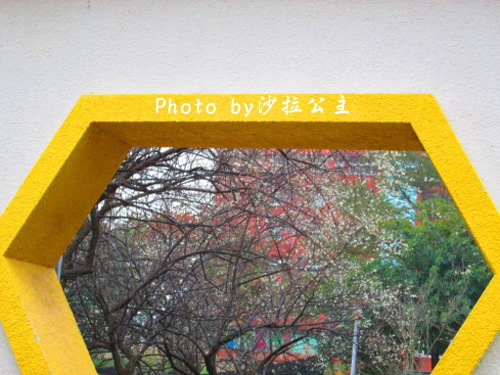 IMG_5676.jpg IMG_5676.jpg