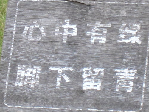 花港觀魚【杭州】 7 花港觀魚【杭州】