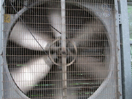 芝山文化生態綠園【士林】 16 芝山文化生態綠園【士林】