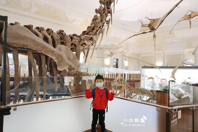 台北巨大恐龍出沒，搭捷運就會到