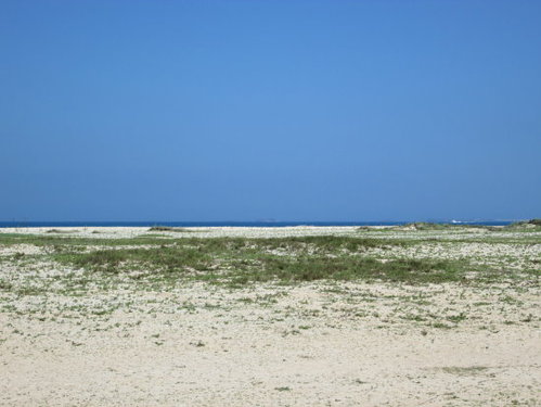 澎湖之旅-吉貝島 12 澎湖之旅-吉貝島