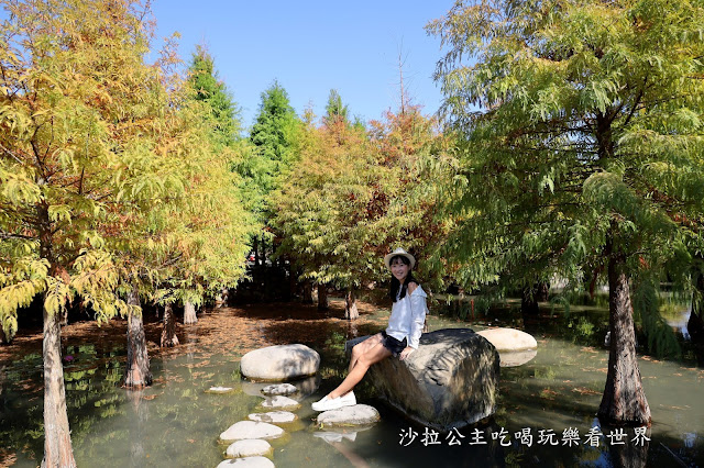 台中落羽松.后里泰安落羽松秘境『羽粼落羽松』裝置藝術像走到畫裡 20 台中落羽松.后里泰安落羽松秘境『羽粼落羽松』裝置藝術像走到畫裡